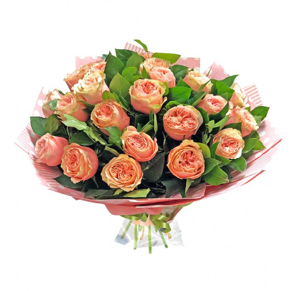 Букет из 25 роз Кахала фото 1