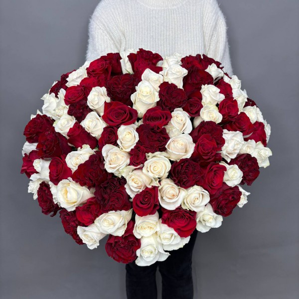 Большой букет из 101 красно-белых роз фото 3