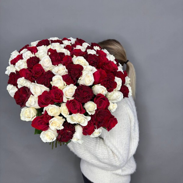 Большой букет из 101 красно-белых роз фото 1