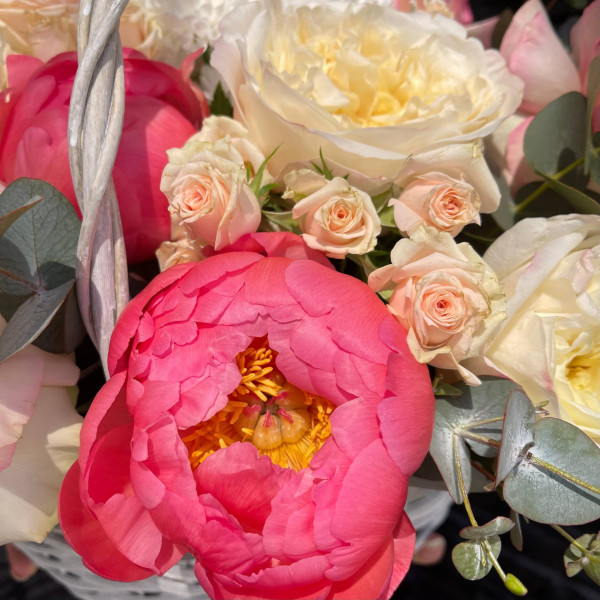 50 фото 2