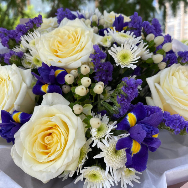 955 фото 2