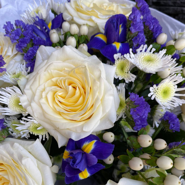 955 фото 3