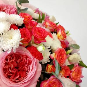 1024 фото 4