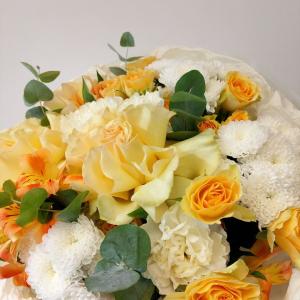 1023 фото 3