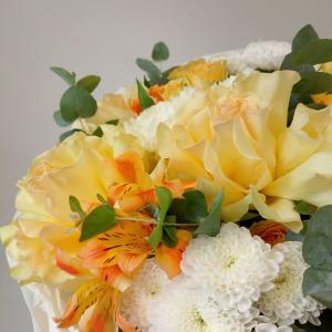 1023 фото 6