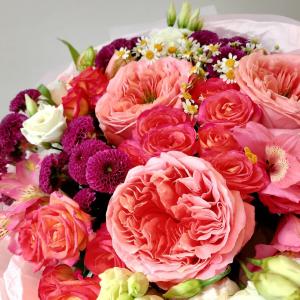 1022 фото 4