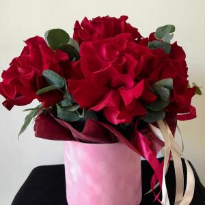 1058 фото