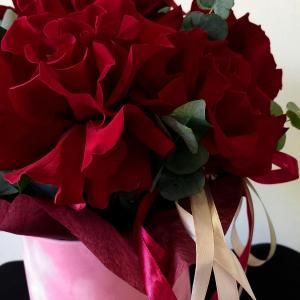 1058 фото 2