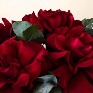 1058 фото 4