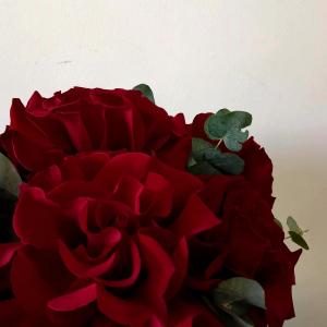 1058 фото 5