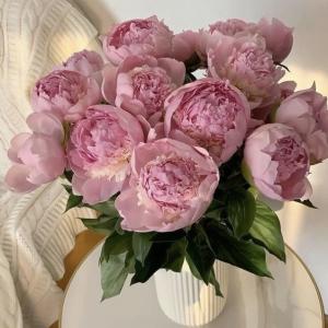 Как продлить жизнь пионам в букете