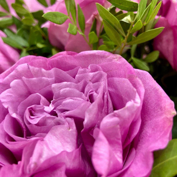 Букет №522 фото 5