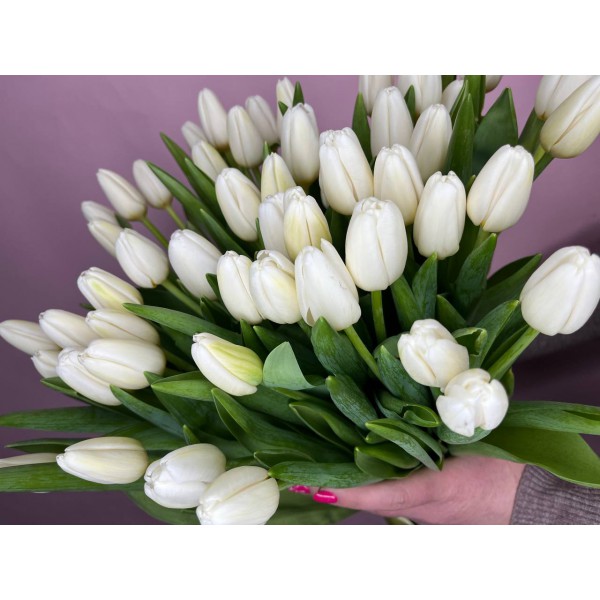 Букет из 51 белого тюльпана фото 2