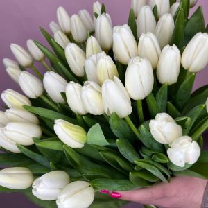Букет из 51 белого тюльпана фото 2